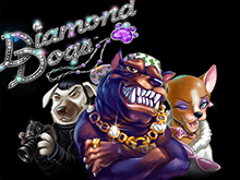 С бонусами игровые автоматы Diamond Dogs