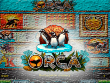 Orca