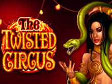 The Twisted Circus – автомат в Старс Вулкан от Микрогейминг