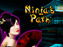 Ninja's Path от производителя Novomatic, игра с азартным уклоном